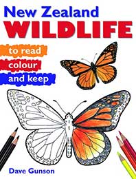 New Zealand Wildlife to Read,colour & Keep cover