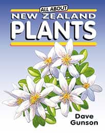 All About New Zealand Plants cover