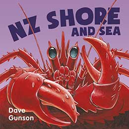 NZ Shore and Sea Board Book cover