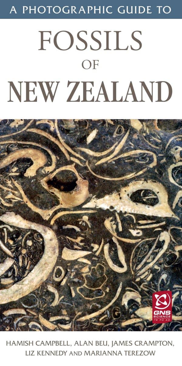 A Photographic Guide to Fossils of New Zealand cover