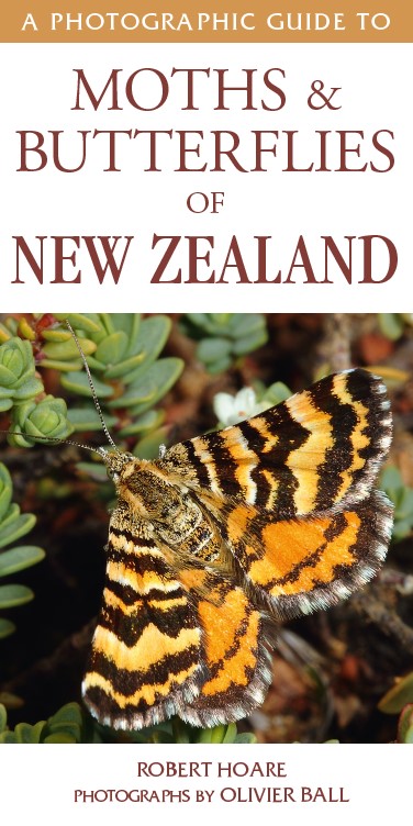 A Photographic Guide to Moths & Butterflies of New Zealand cover