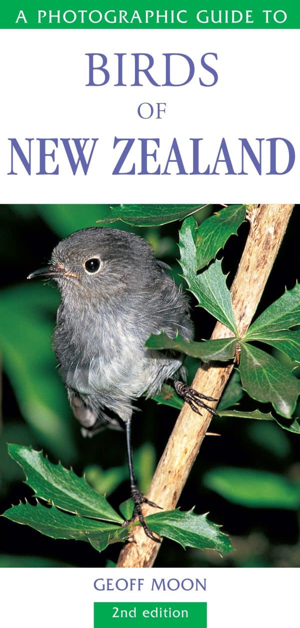 A Photographic Guide to Birds of New Zealand cover