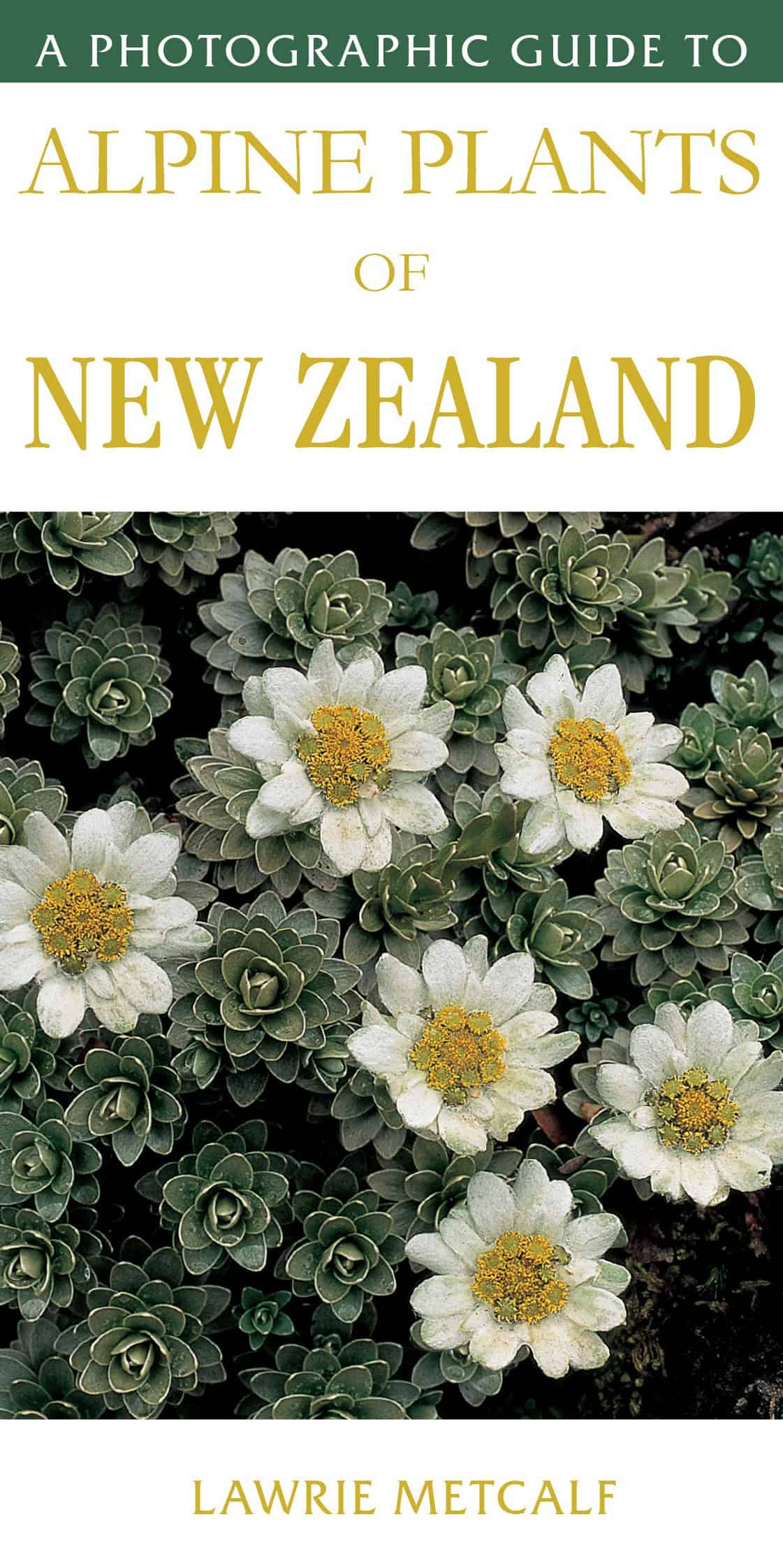 A Photographic Guide to Alpine Plants of New Zealand cover
