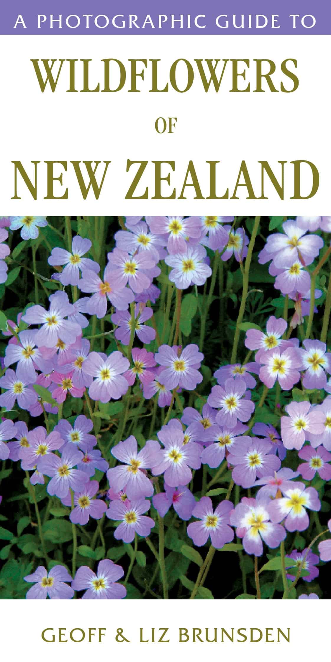 A Photographic Guide To Wildflowers of New Zealand cover