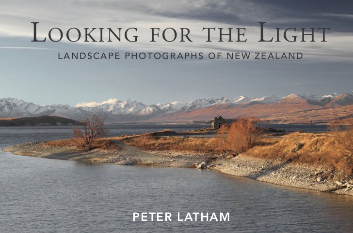 Looking for the Light (mini) cover