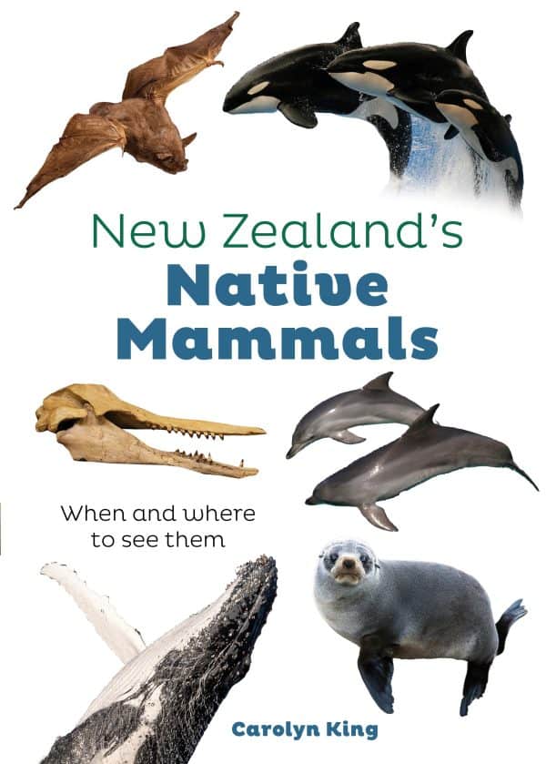 Cover art for Native Mammals